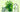 Biodegradable Polymers: The Future of Sustainable Materials